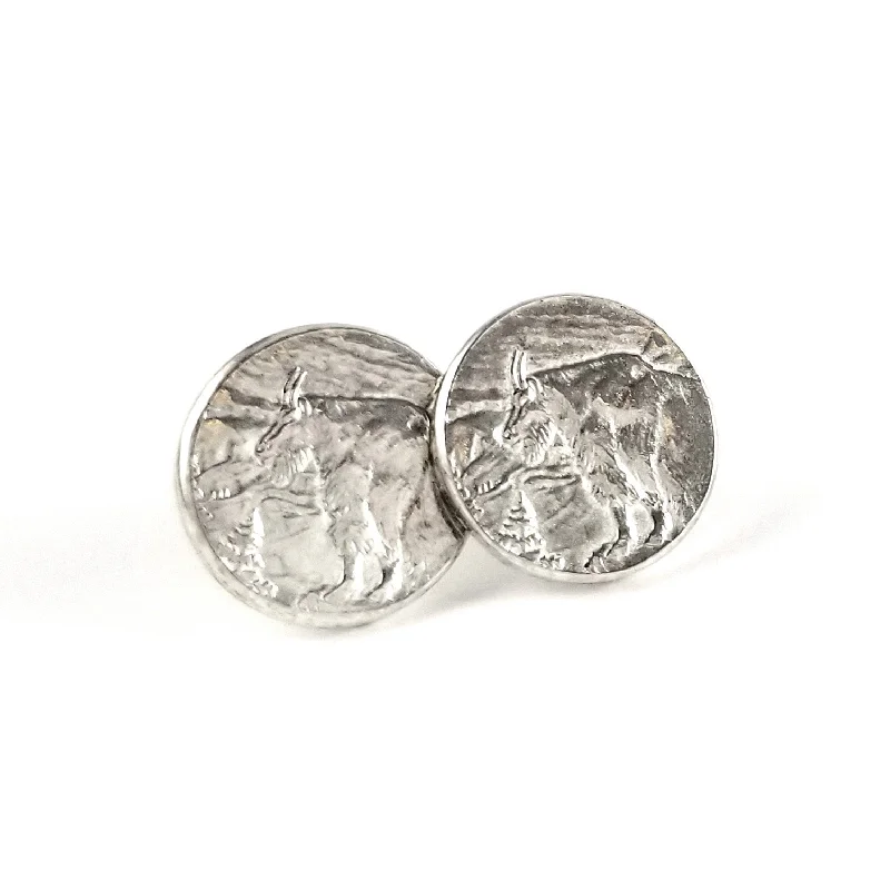 luxurious gold earrings -Silver Glacier National Park Quarter Punch Out Stud Earrings